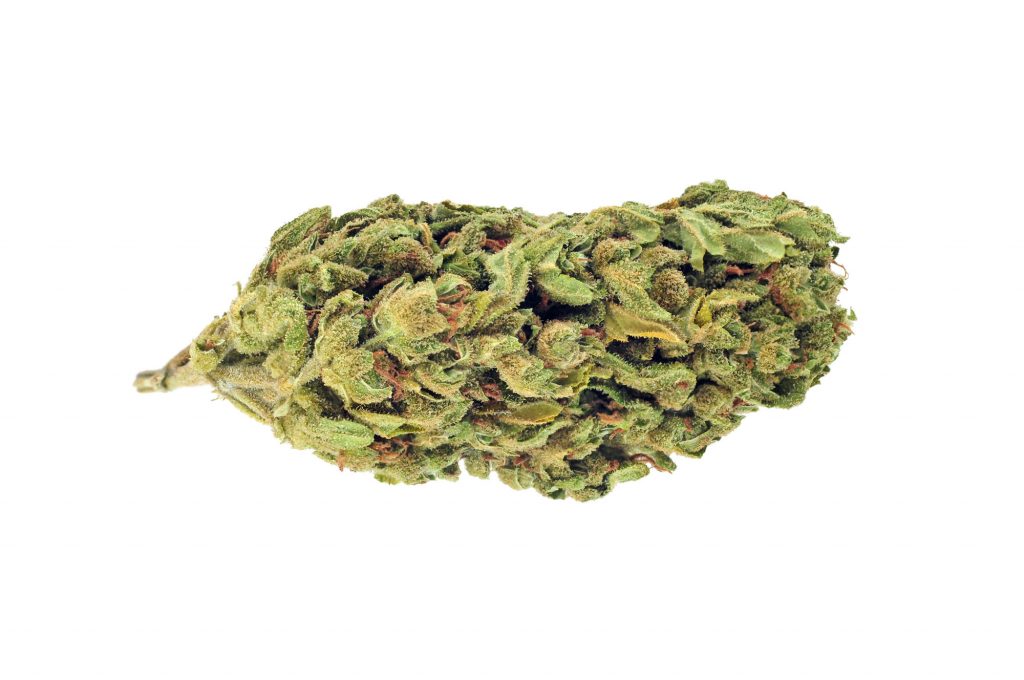 Eine Cannabisblüte.