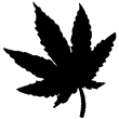 Cannabisblatt - Kennzeichnet Abschnitte mit Infos für Konsumenten