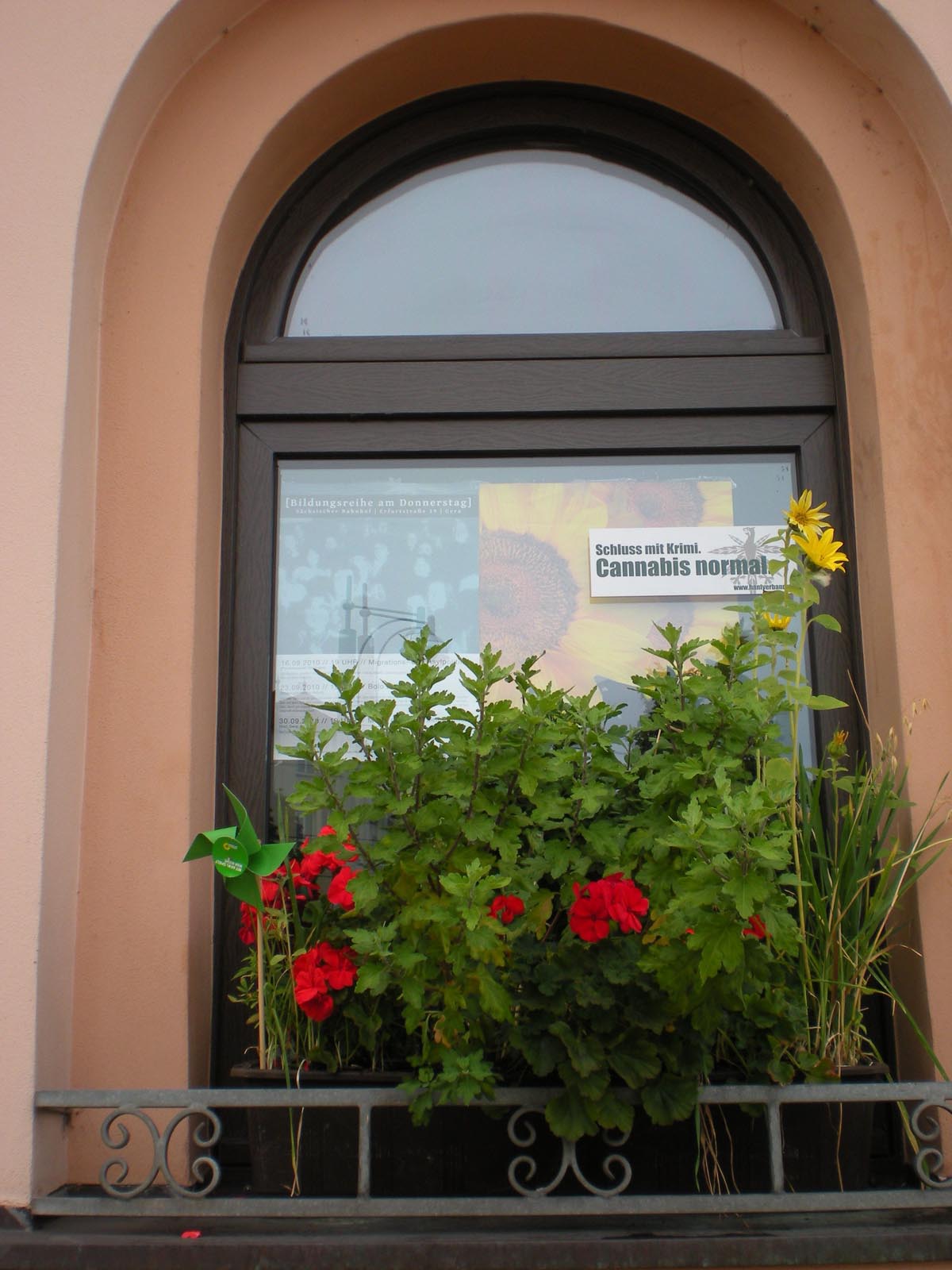 Fenster der Geschäftsstelle der Grünen in Gera