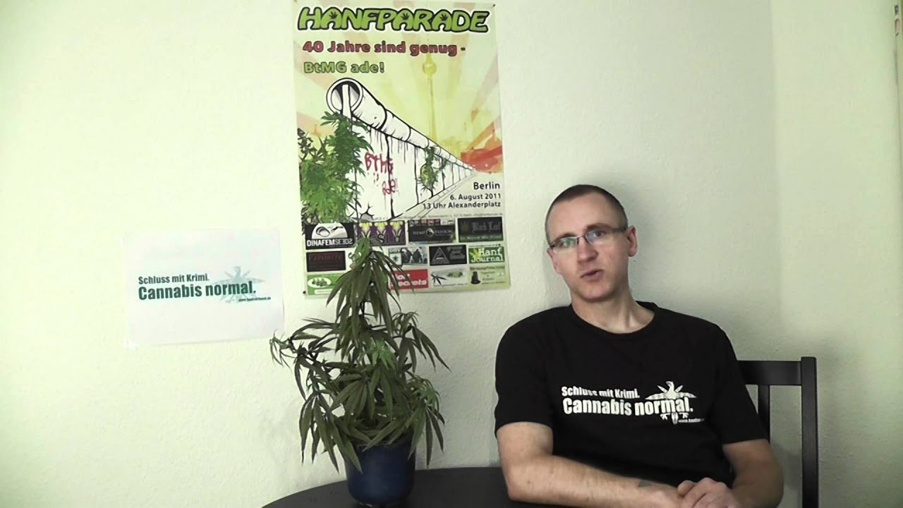 Video mit Georg Wurth: Heiße Phase – Sommersammeln für die Cannabispetition