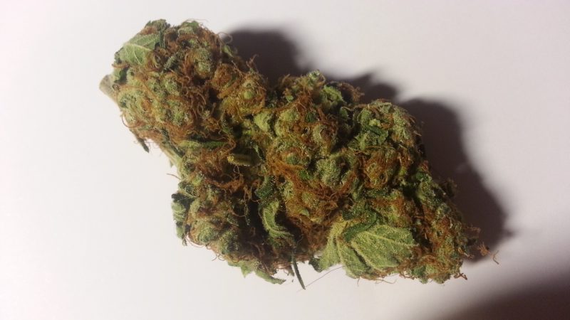 Marihuana Cannabis Blüte 01