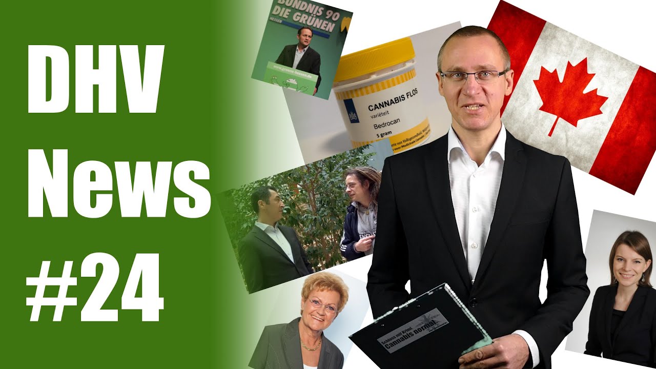 DHV Videonews #24: CDU/CSU: Eigenanbau verhindern, Konsumenten verfolgen