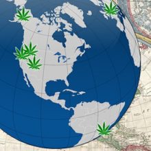 Mexiko macht ernst: Kongress beginnt Debatte zur Regulierung von Cannabis