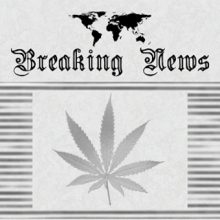 Berliner SPD stimmt gegen Cannabis-Legalisierung
