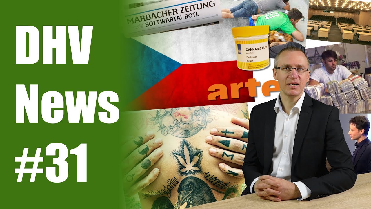 Cannabis-Agentur in Tschechien | Boulevard Spaß | DHV News #31