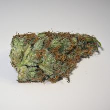 Gesetz für Cannabis als Medizin tritt in Kraft