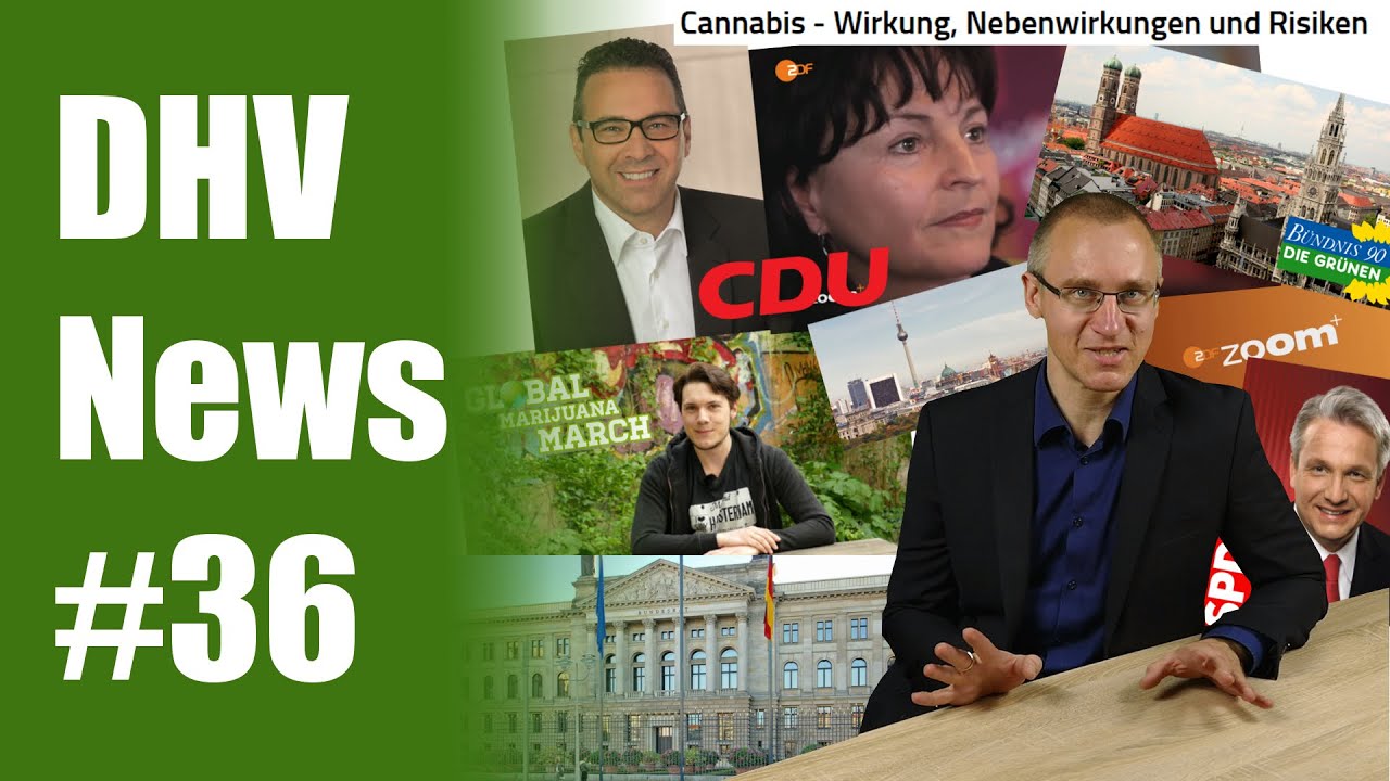 Sensation: CDU-Politiker fordert Legalisierung von Cannabis | DHV News #36