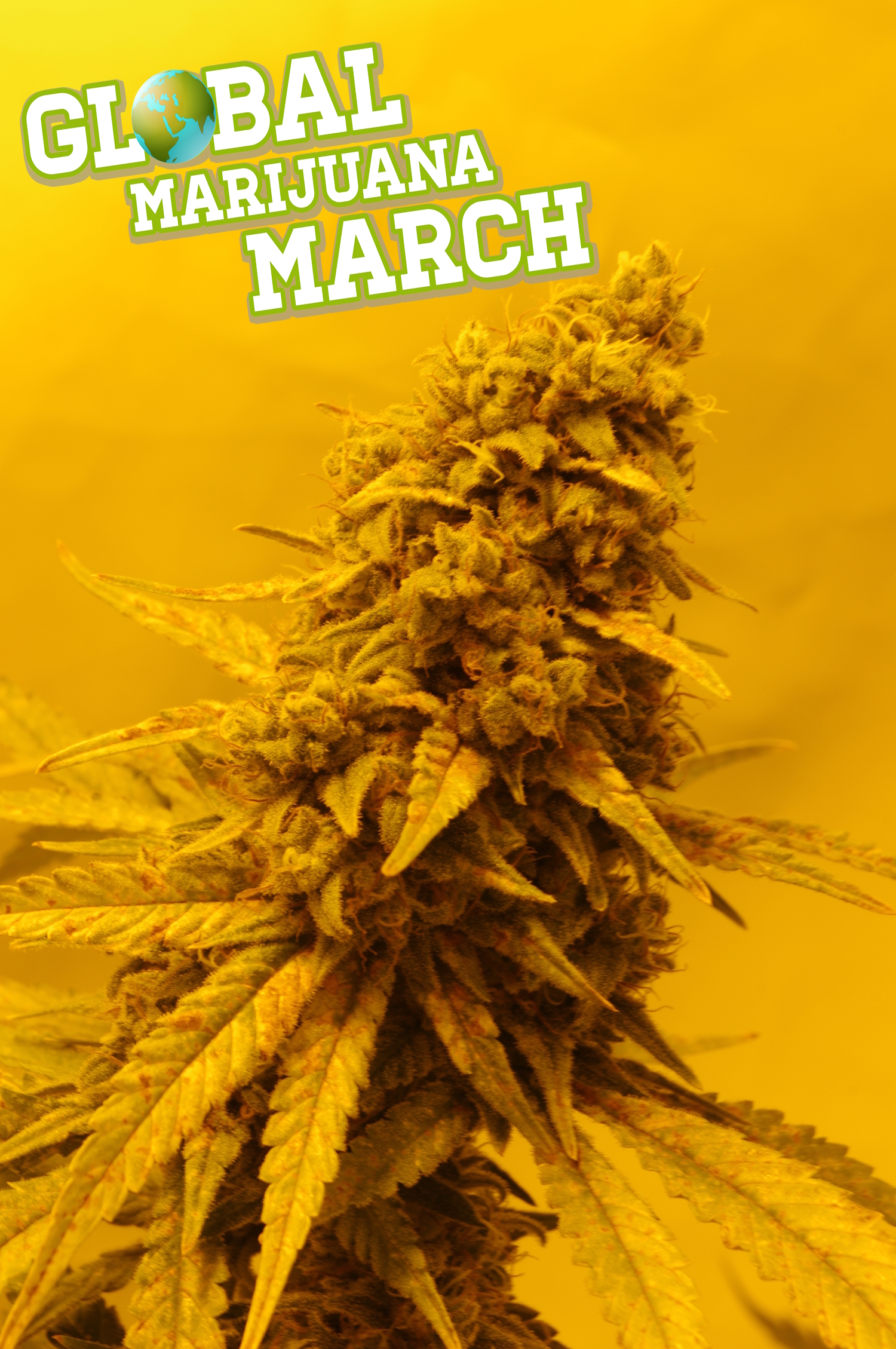 Ab morgen: Bundesweite Aktionen zum Global Marijuana March