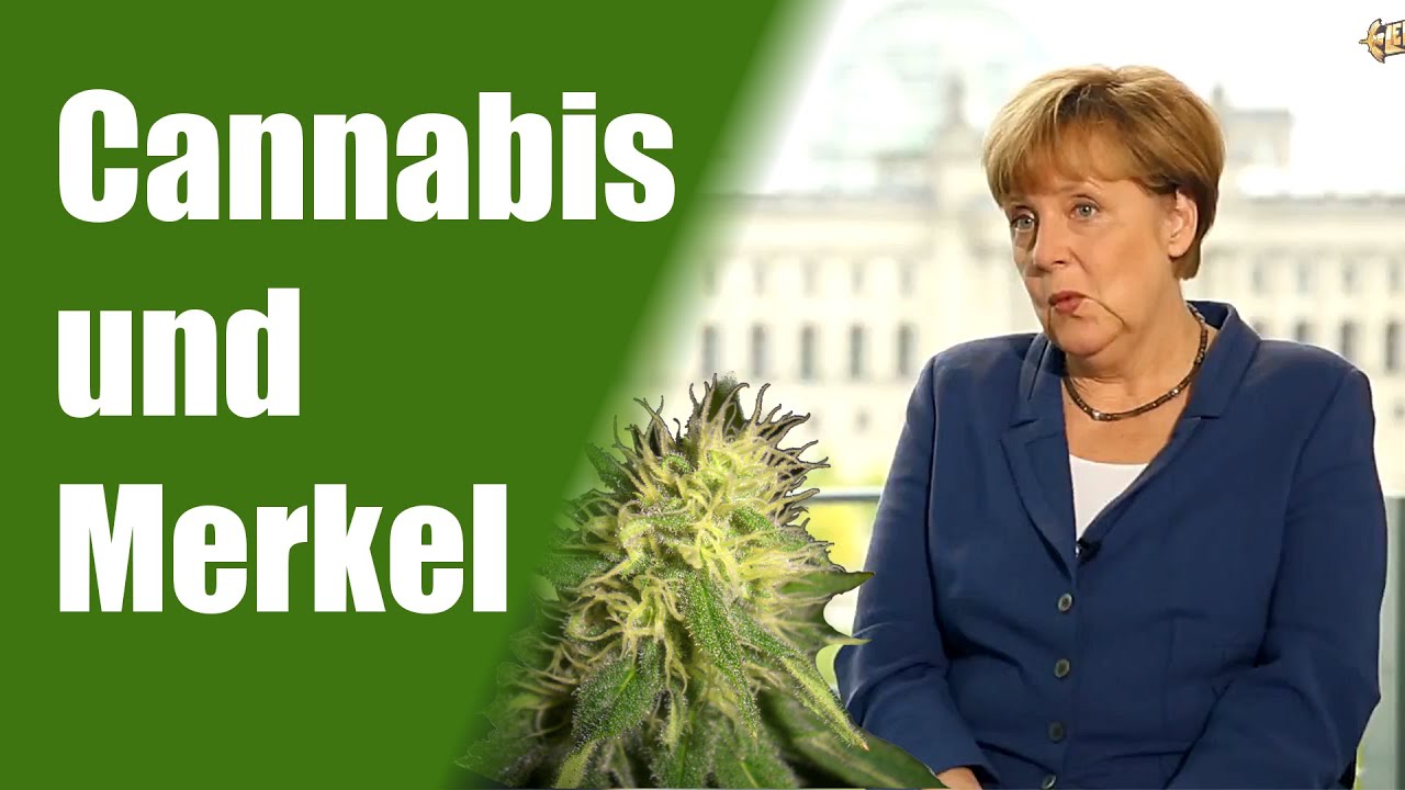 Youtube-Star LeFloid befragt Merkel zu Cannabis | DHV News #45