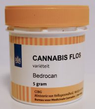Südtirol stimmt für Cannabis-Anbau zu medizinischen Zwecken
