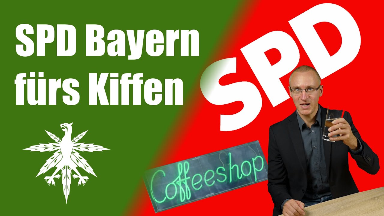 SPD Bayern beschließt Legalisierung | Bremen will Modellprojekt | DHV News #43