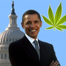 USA: DEA kündigt Stellungnahme zur Umstufung von Cannabis an