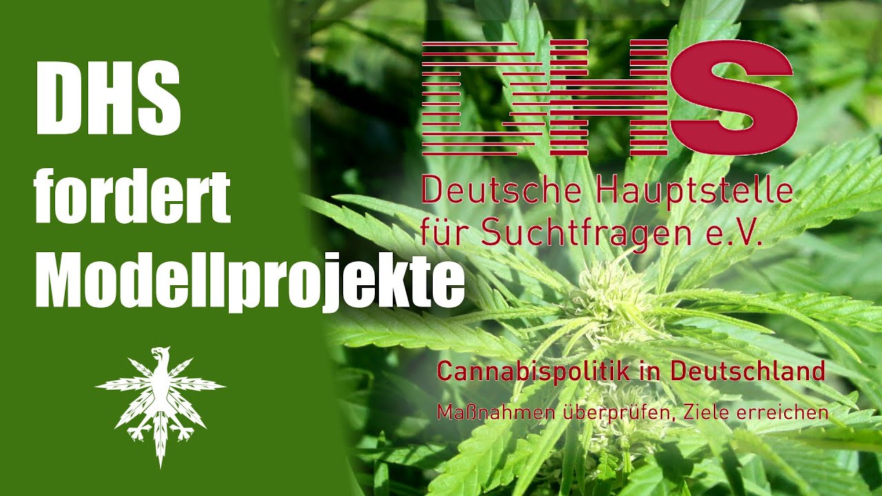 Deutsche Hauptstelle für Suchtfragen fordert Cannabis-Modellprojekte | DHV News #56