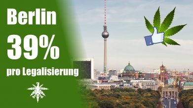CDU fragt, Berlin antwortet: 39 % für Legalisierung! | DHV News #52