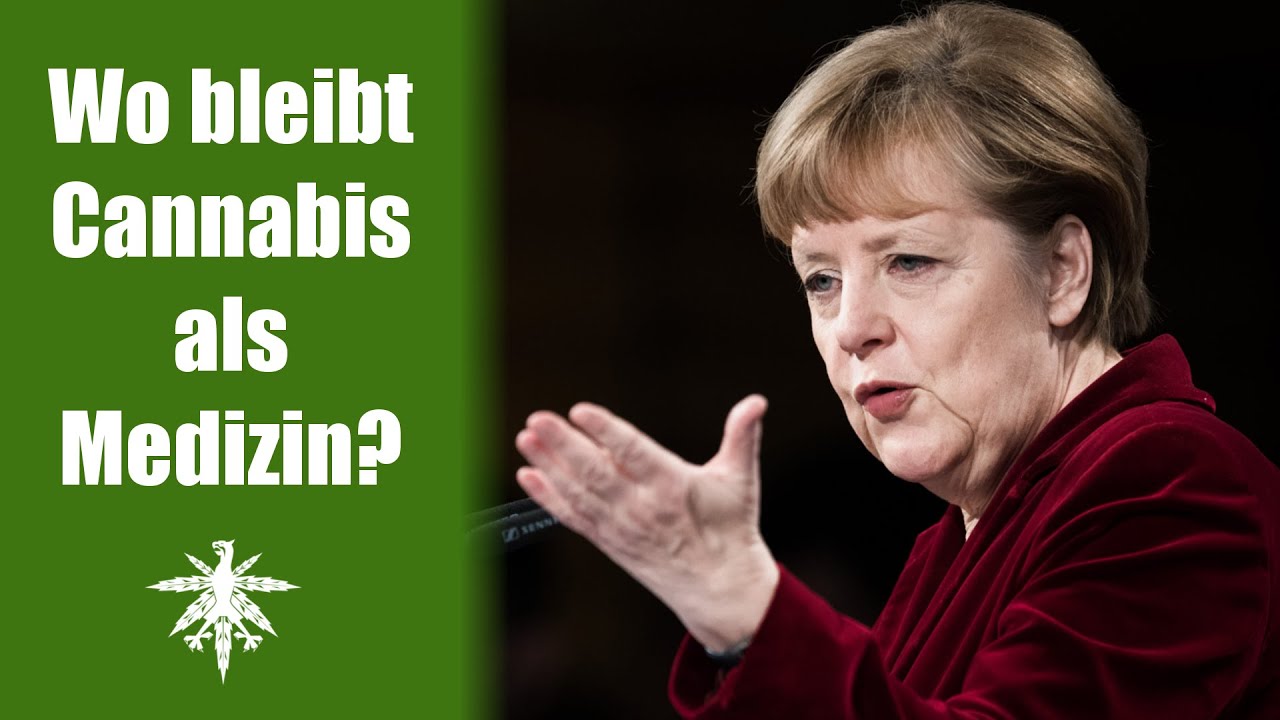 Frau Merkel, wo bleibt Cannabis als Medizin? | DHV News #61