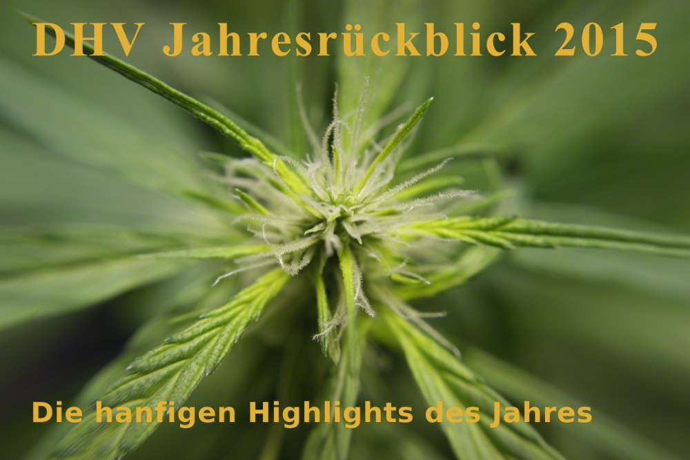 DHV Jahresrückblick 2015 – Die hanfigen Highlights des Jahres
