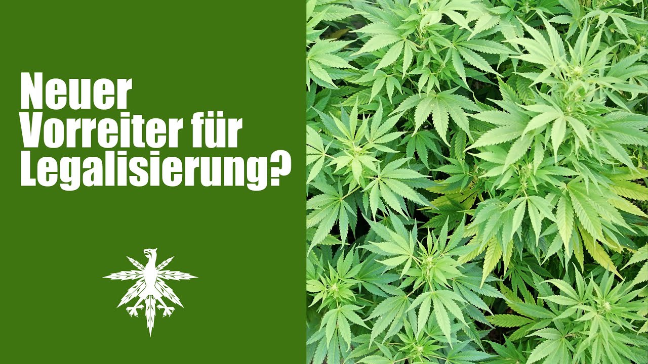 Bremen will Vorreiter für Legalisierung werden | DHV-Video-News #72