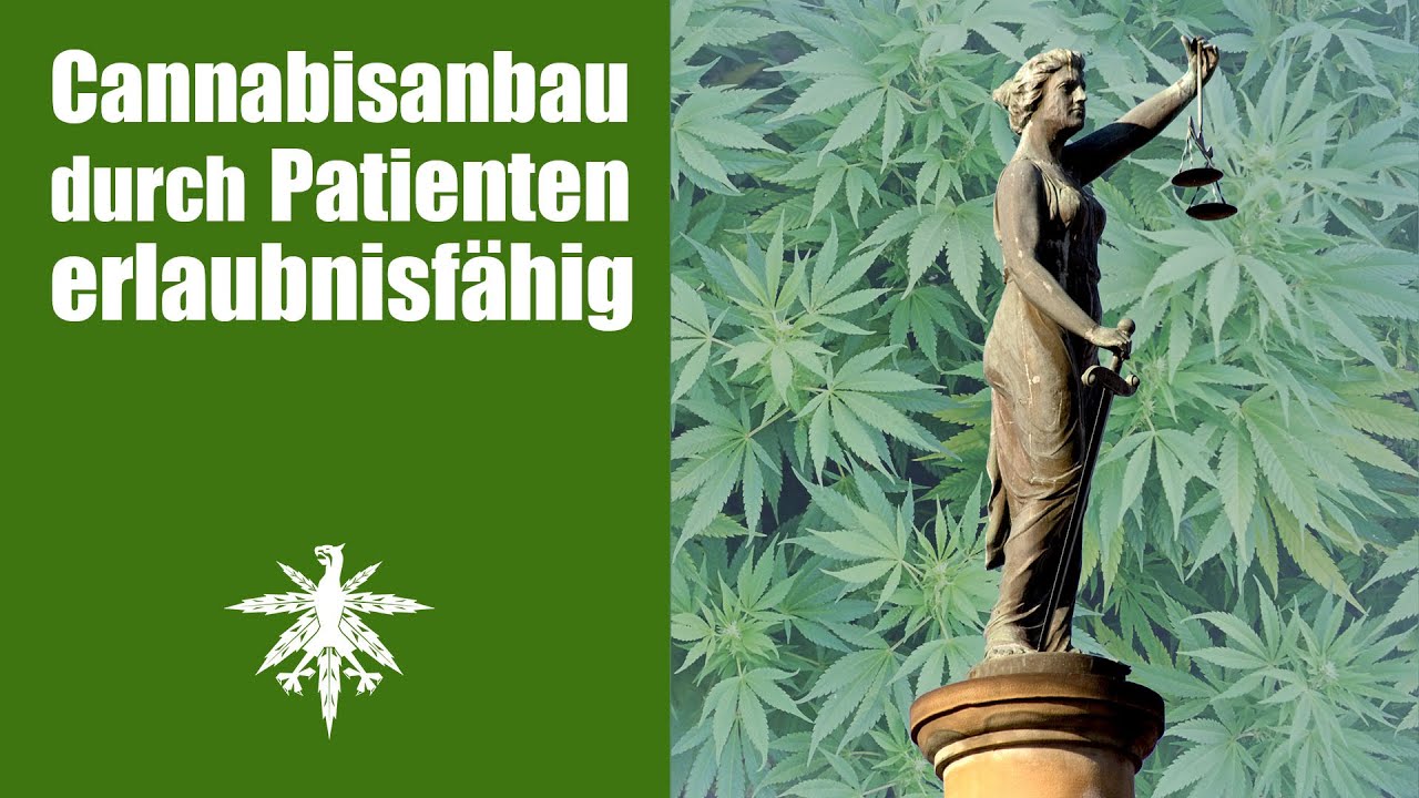 Wichtiges Urteil: Cannabisanbau durch Patienten erlaubnisfähig | DHV-Video-News #75