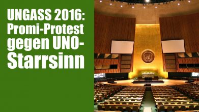 UNGASS 2016: weltweiter Promi-Protest gegen UNO-Starrsinn | DHV-Video-News #76