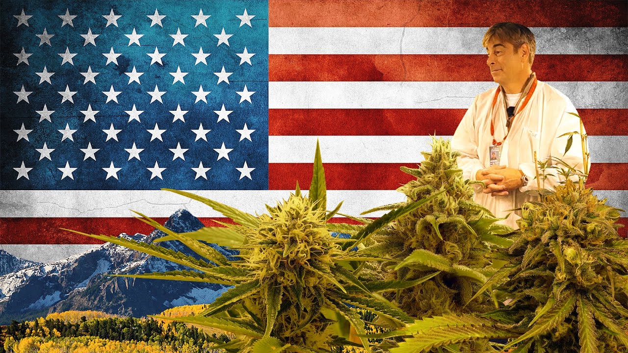 Medizinischer Cannabis Grow bei Federal Medical | DHV USA Tour 2015 Video Part 5/10