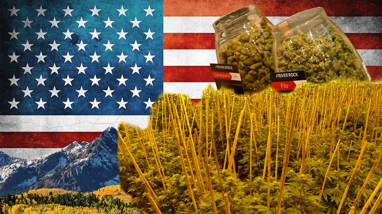 So wird legales Cannabis unter 250.000W angebaut – River Rock Colorado | DHV USA 2015 Tour Video Part 2/10