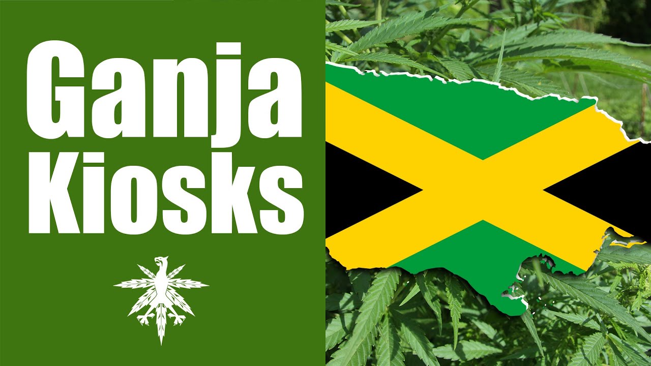 Jamaika: Ganja-Kiosks für Touristen | DHV-Video-News #87