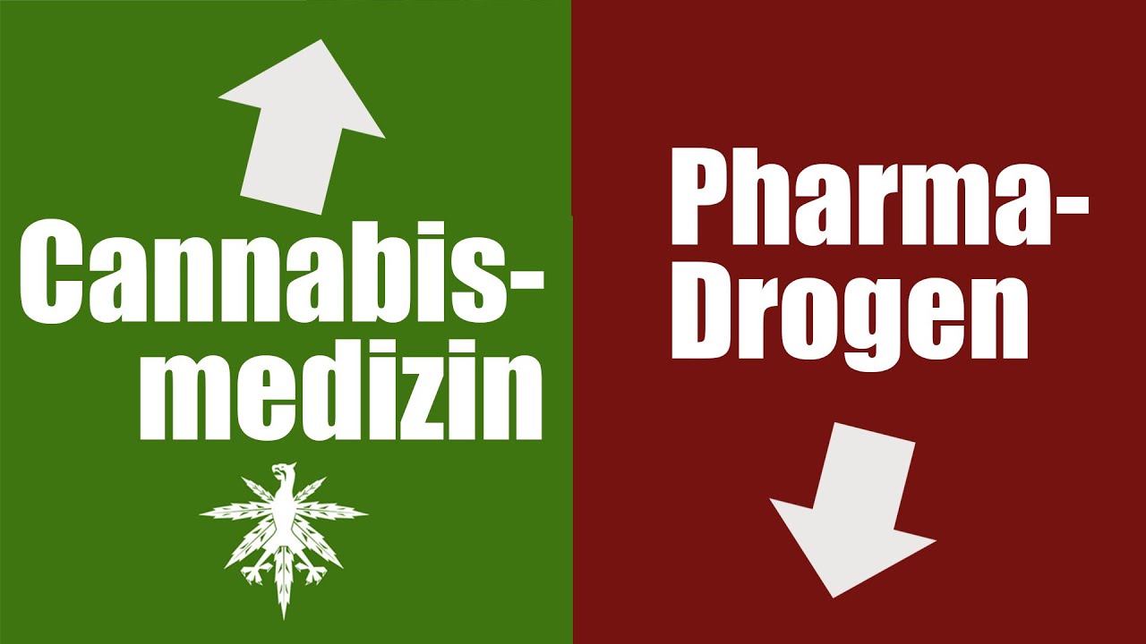 Cannabismedizin senkt Verbrauch von Pharma-Drogen | DHV-Video-News #88