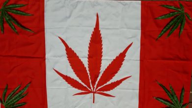 Kanada legalisiert Cannabis am 1. Juli 2018