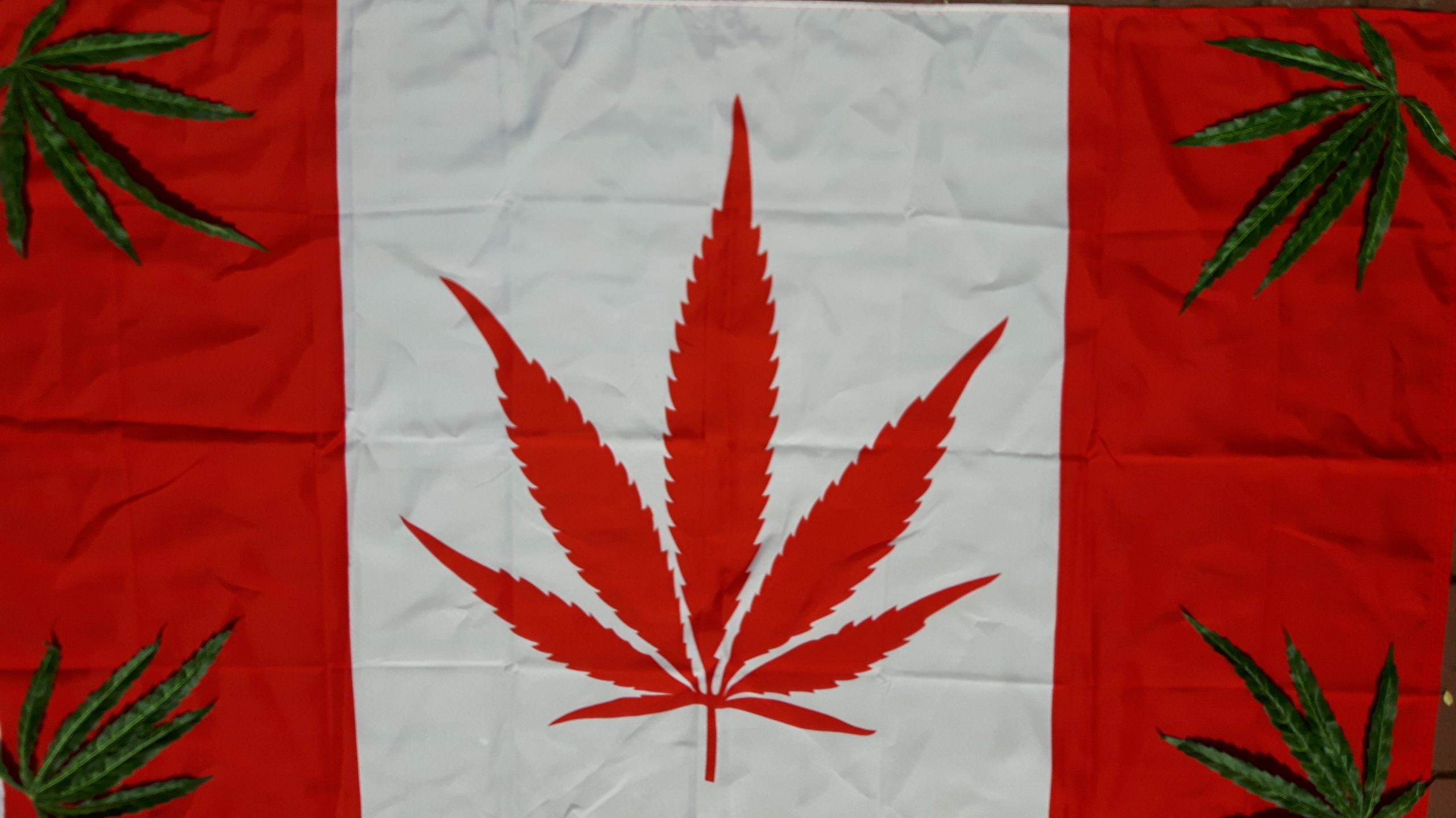Kanadisches Unternehmen liefert Cannabis für deutsche Apotheken