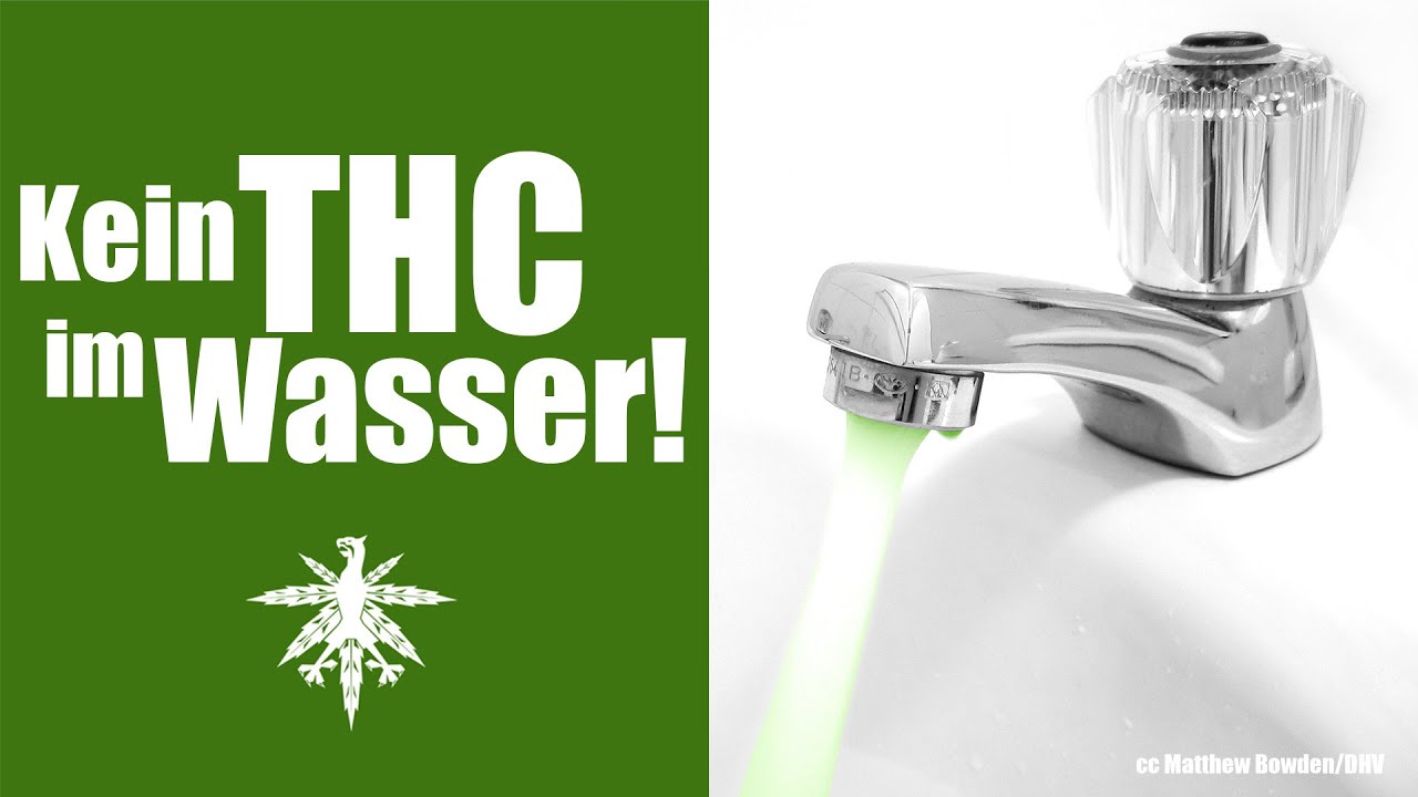 Colorado: Kein THC im Trinkwasser | DHV-Video-News #89