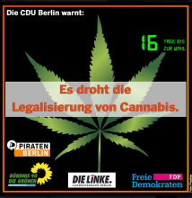 Berlin-Wahl: Hanfverband erwartet Trendwende in der Cannabispolitik