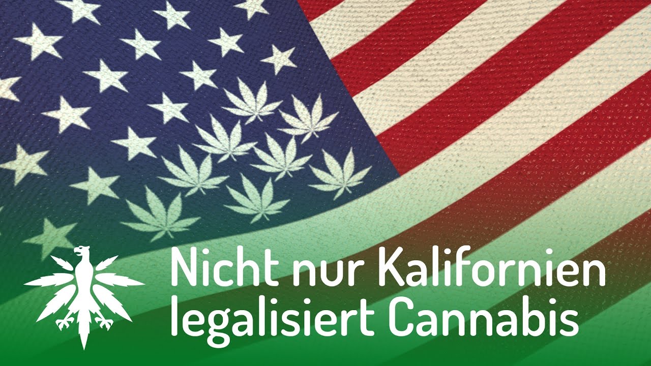 USA: Nicht nur Kalifornien legalisiert Cannabis | DHV-Video-News #100