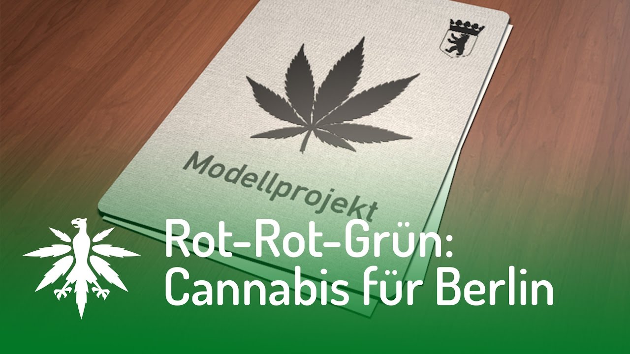 Rot-Rot-Grün will Cannabis in Berlin verteilen | DHV-Video-News #101