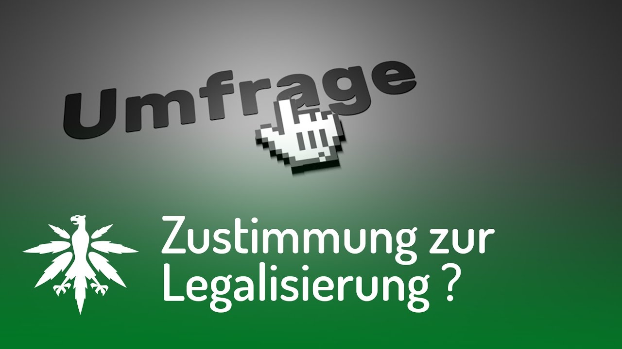 Zustimmung zur Legalisierung in Deutschland gesunken!? | DHV-Video-News #105