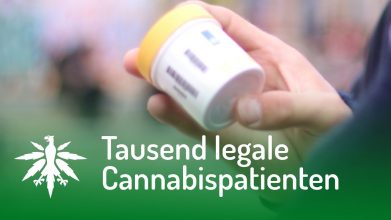 Tausend legale Cannabispatienten | DHV-Video-News #106
