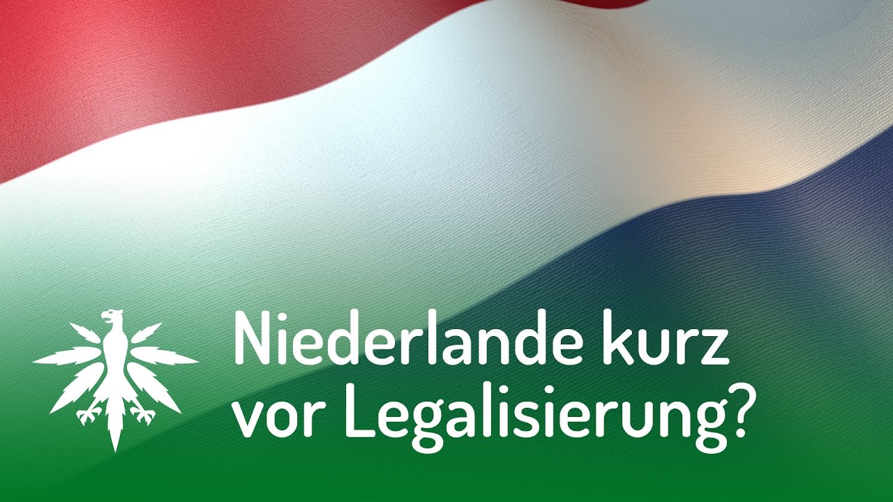 Niederlande kurz vor Legalisierung? | DHV-Video-News #113