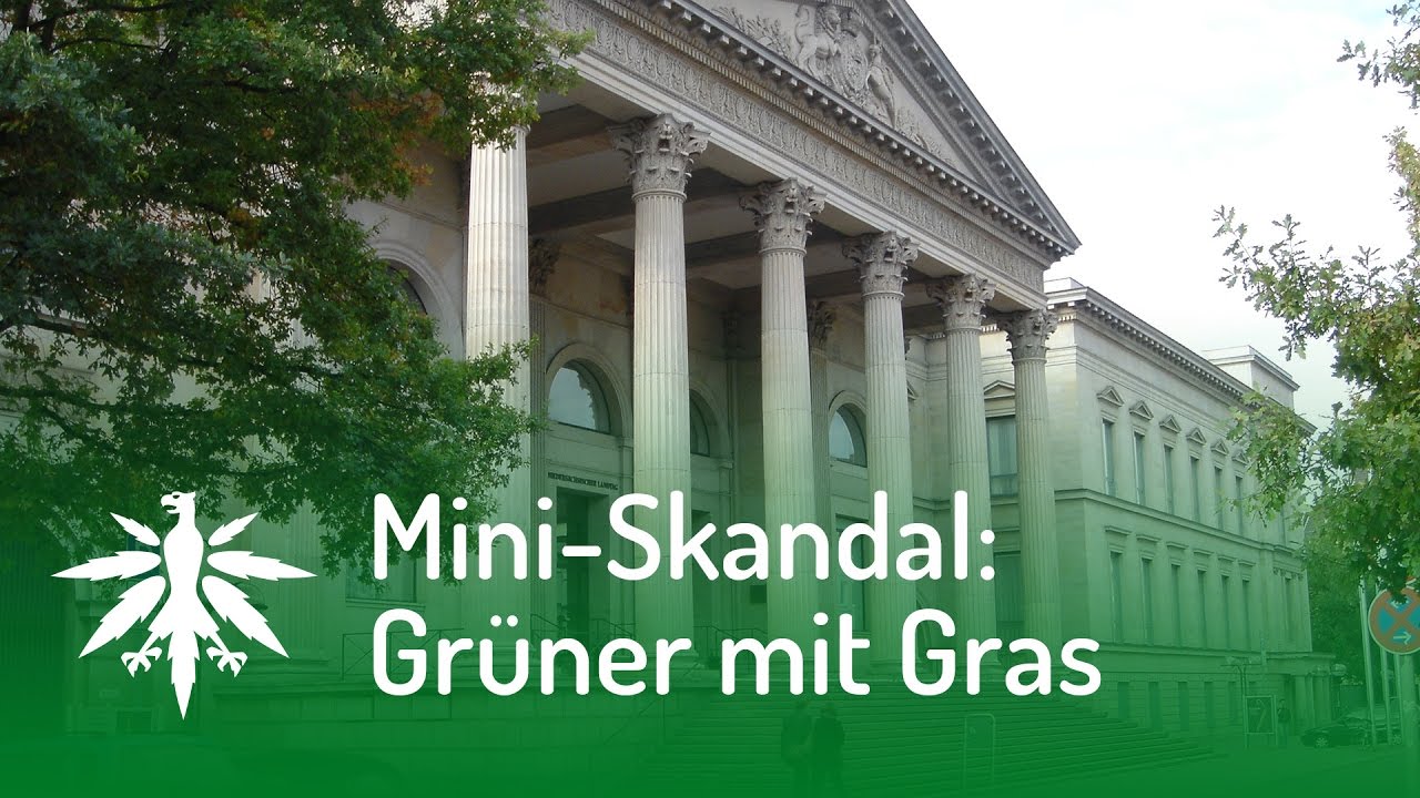 Mini-Skandal: Grüner mit Gras | DHV-Video-News #118