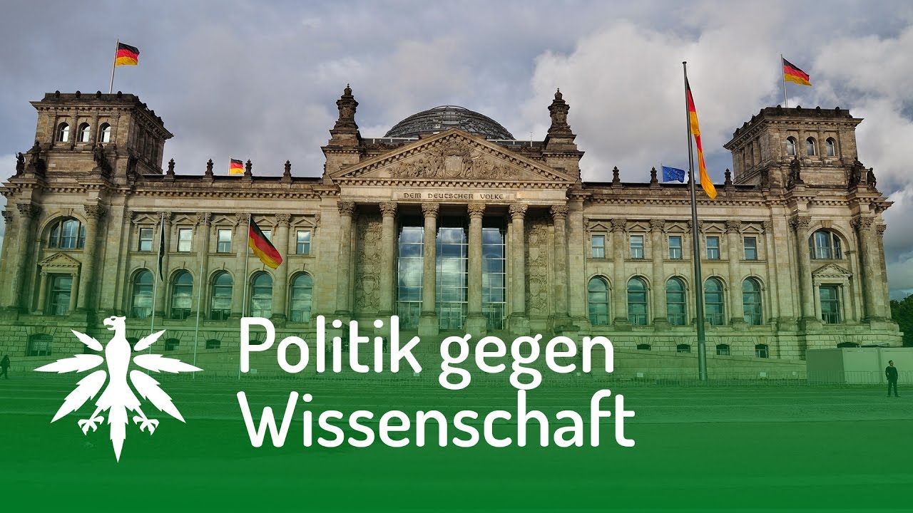 Bundestag gegen Strafrechtsprofessoren | DHV-Video-News #119