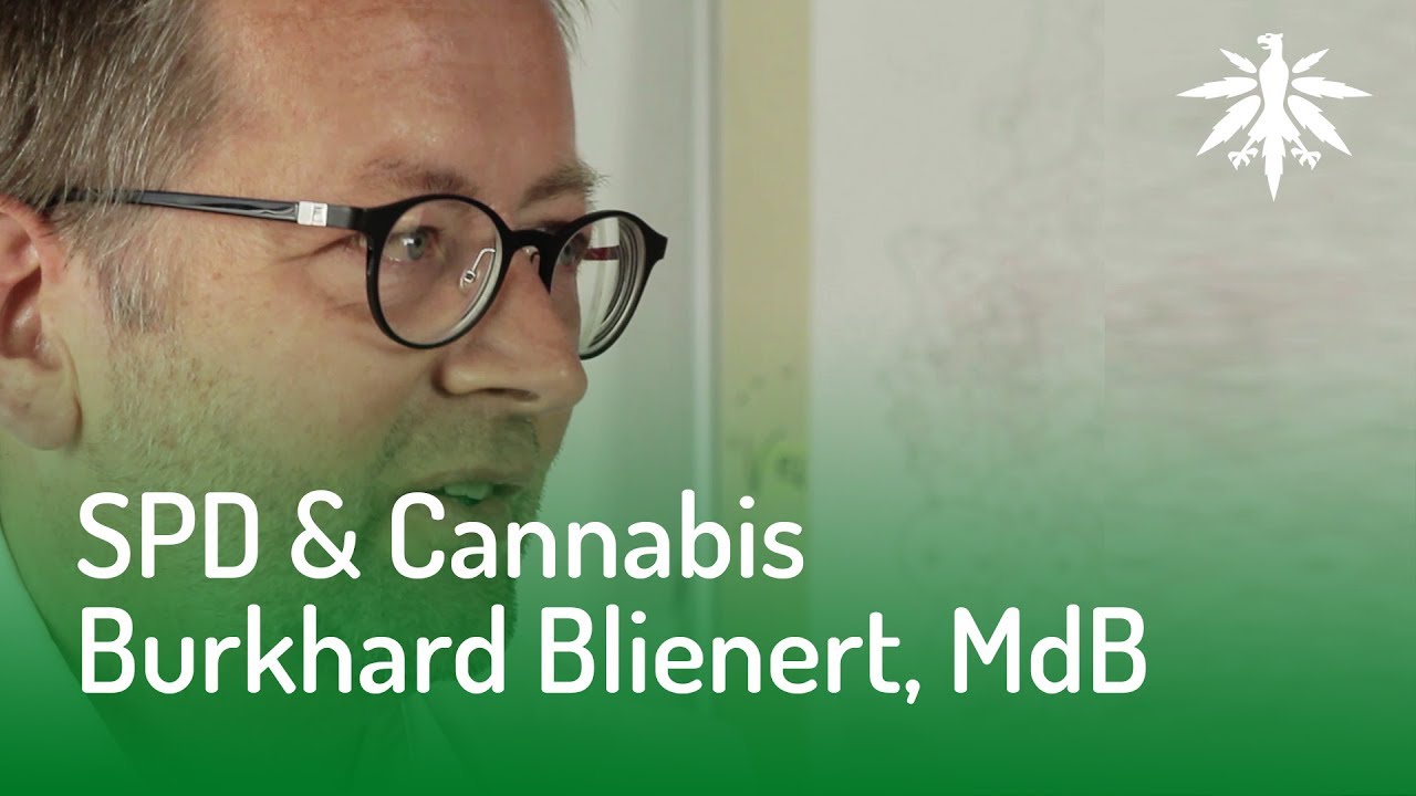 SPD & Cannabis? Interview mit Burkhard Blienert