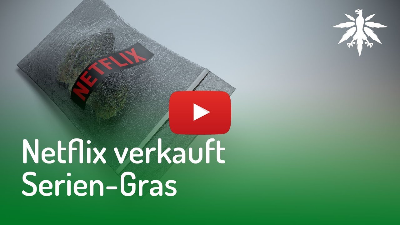 Netflix verkauft Serien-Gras | DHV-Video-News #134
