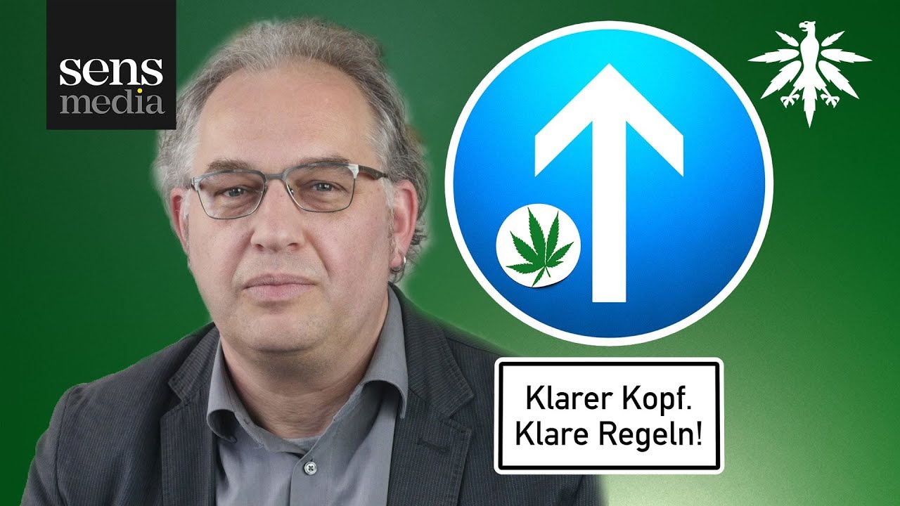 Dr. phil. Bernd Werse über Auswirkungen des Führerscheinentzugs (Video)