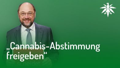 Martin Schulz würde Cannabis-Abstimmung freigeben | DHV-Video-News #135