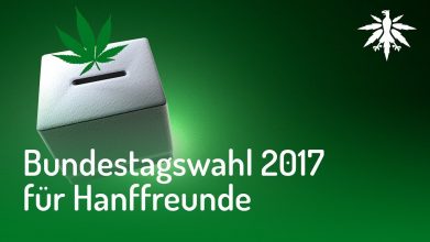 Bundestagswahl 2017 für Hanffreunde | DHV-Video-News #136