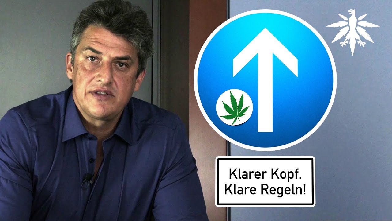 Statement von Frank Tempel zu Cannabis & Führerschein (Video)