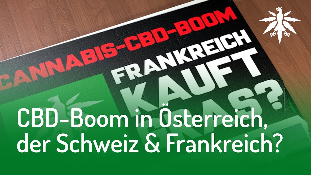 CBD-Gras-Boom | DHV-Video-News #139