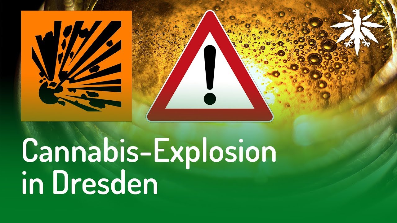 Cannabis-Explosion in Dresden | DHV-Video-News #141