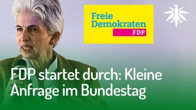 FDP startet durch: Kleine Anfrage im Bundestag | DHV-Video-News #149