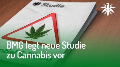 BMG legt neue Studie zu Cannabis vor | DHV-Video-News #147