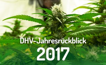 DHV-Jahresrückblick 2017: Ein gigantisches Jahr für die Legalisierung!