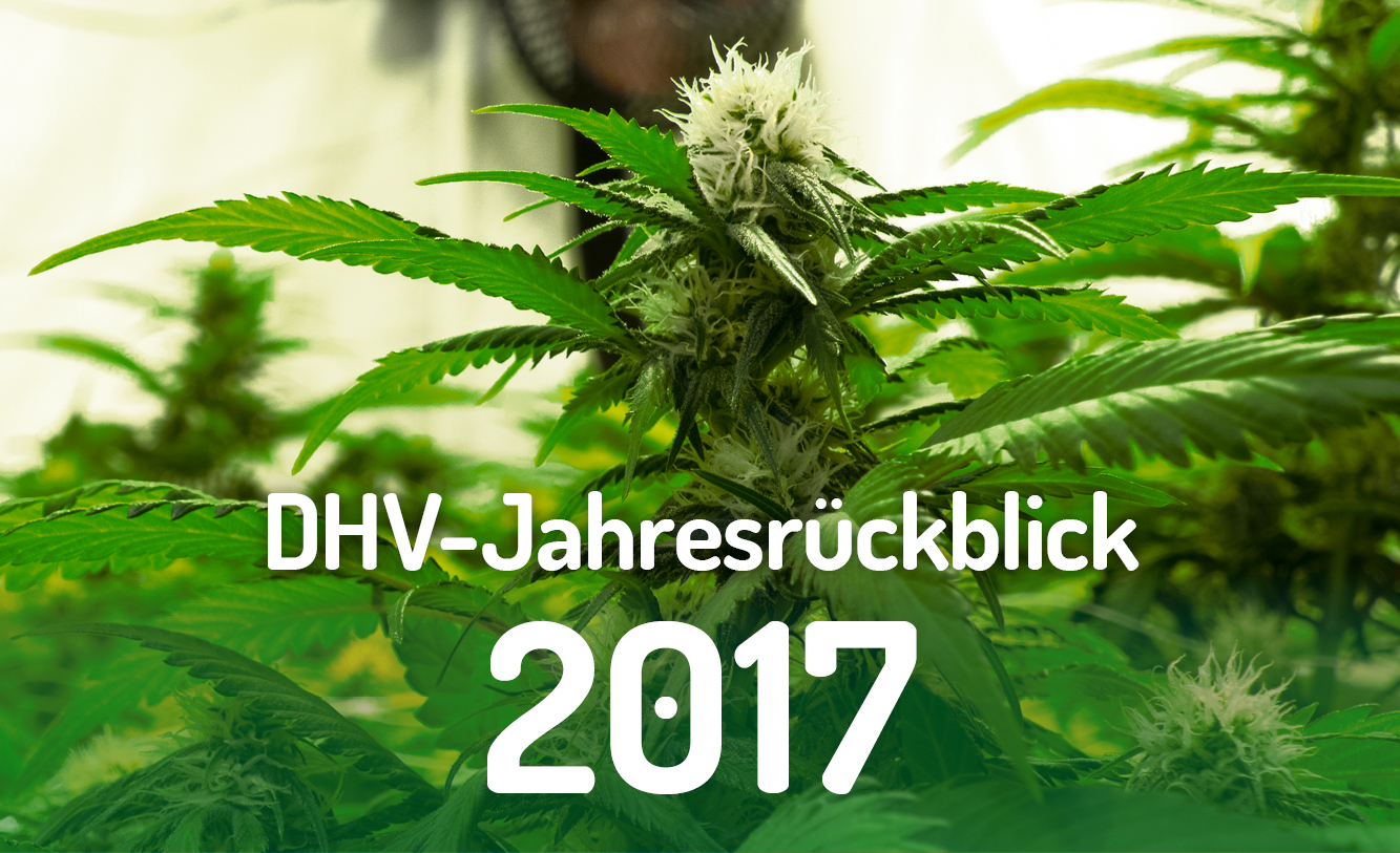 DHV-Jahresrückblick 2017: Ein gigantisches Jahr für die Legalisierung!